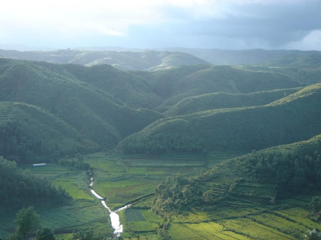 Mawphlang Sacred Forest, India : localhi