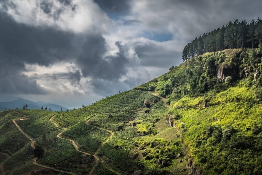 Knuckles Mountain Range, Sri Lanka: localhi