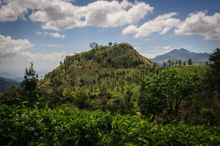 Little Adam's Peak, Sri Lanka: localhi