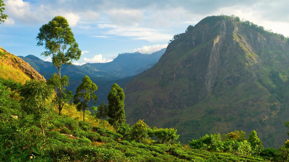 Haputale, Sri Lanka: localhi