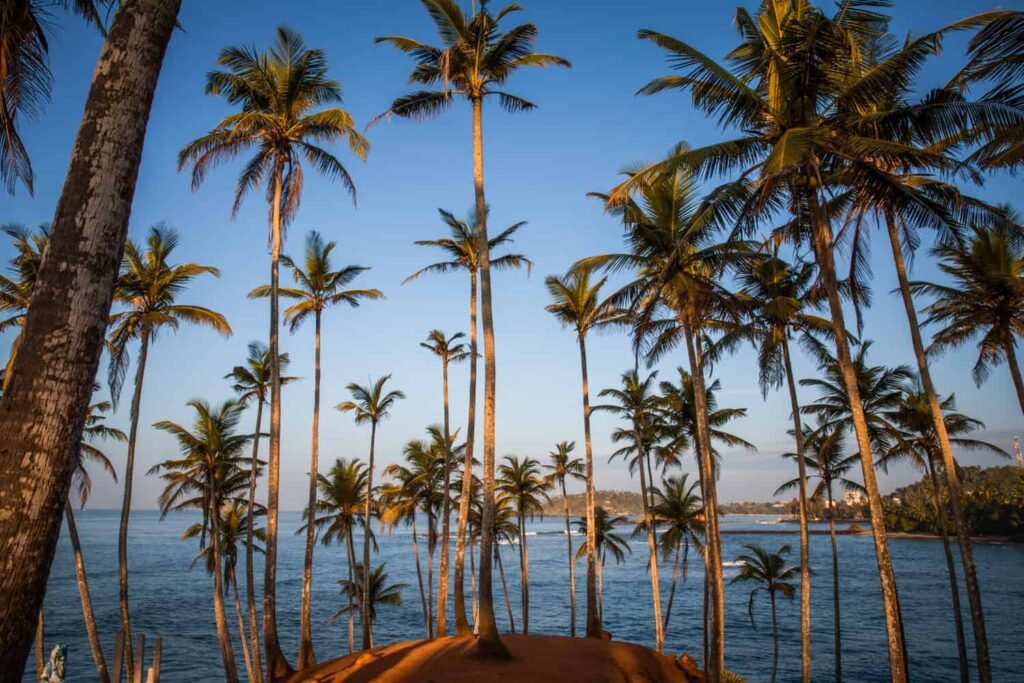 Coconut Tree Hill, Mirissa, Sri Lanka: localhi