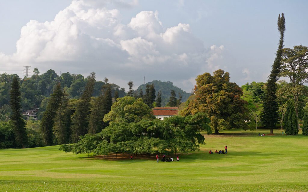 Royal Gardens, Botanical, Sri Lanka: localhi