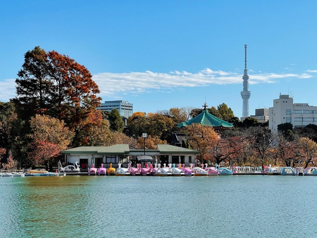 Inokashira Park, Tokya Japan: localhi