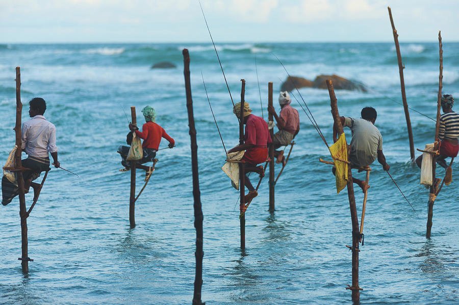 stilt-fishermen-sri-lanka-traditional-fishing: localhi