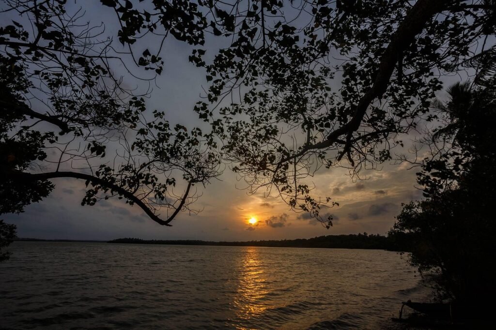 Sunset, Rekawa Lagoon, Sri Lanka: localhi